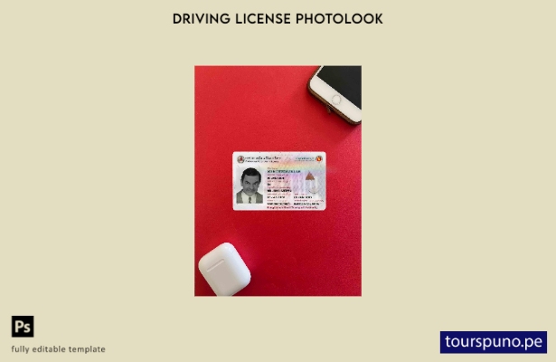 listo para imprimir plantilla FRONTAL de aspecto fotográfico de la versión DL  1